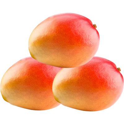 Manga Rosa Kg | Compre online e receba em casa!